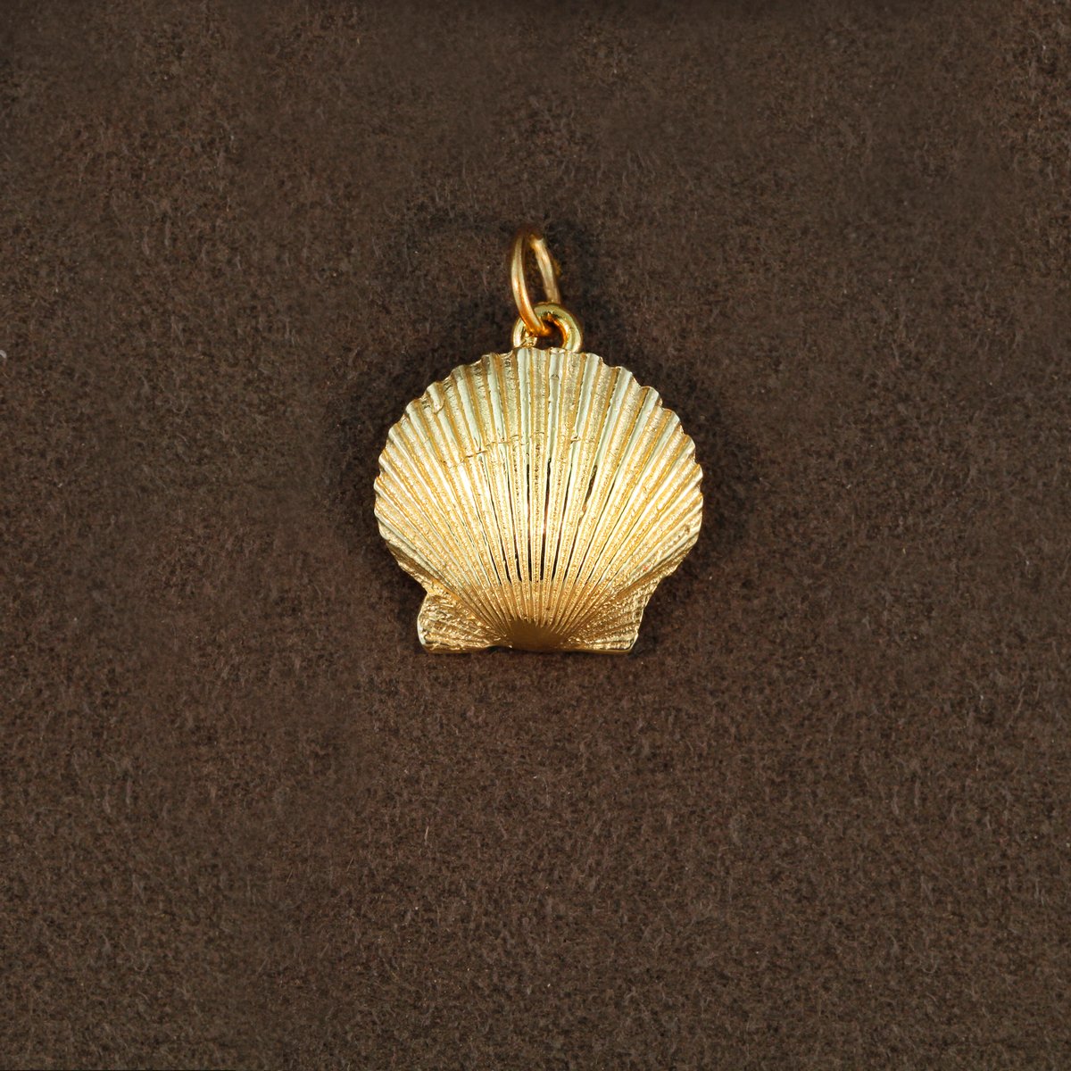 Scallop shell 20mm